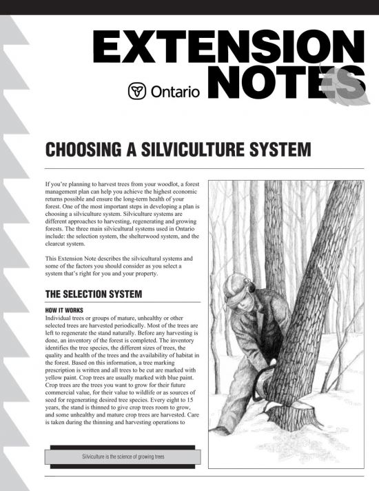 Choosing a Silviculture System